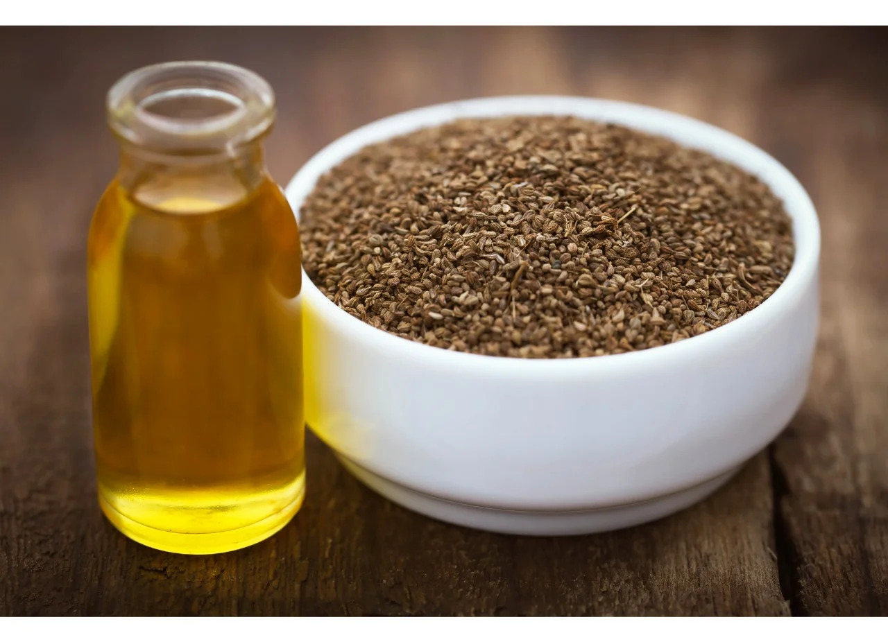 Ajwain Oil