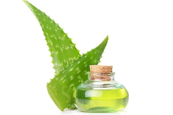 Aloe vera Oil